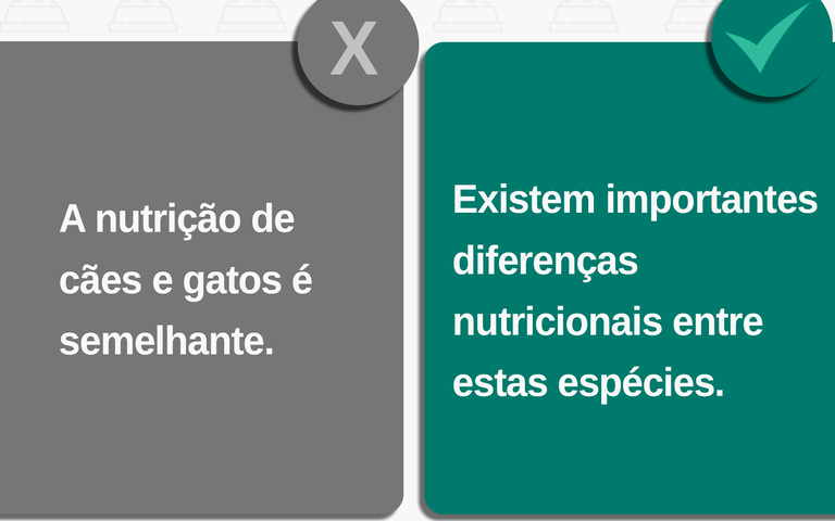 nutrição de cães e gatos é igual?