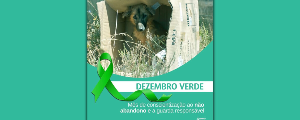 dezembro-verde