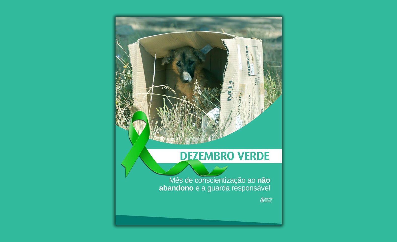 dezembro-verde