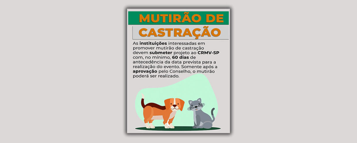 mutirao-de-castracao