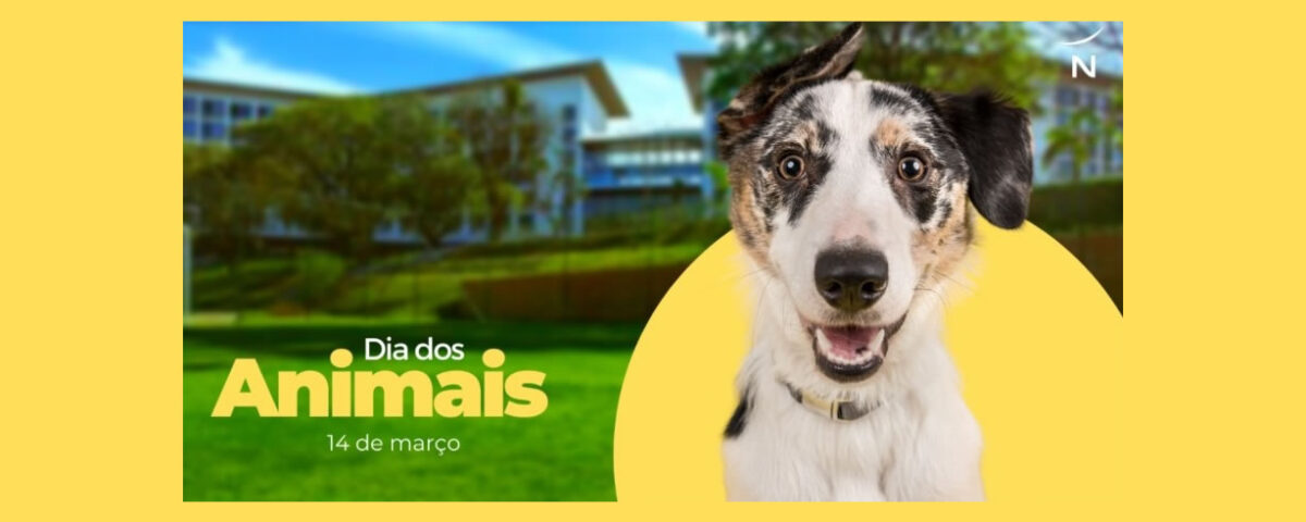 dia-dos-animais-14-03-2022