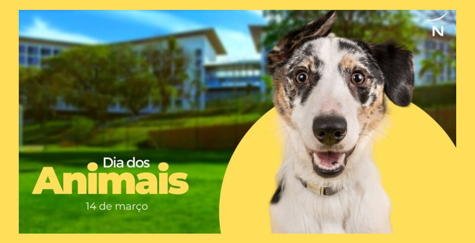 dia-dos-animais-14-03-2022