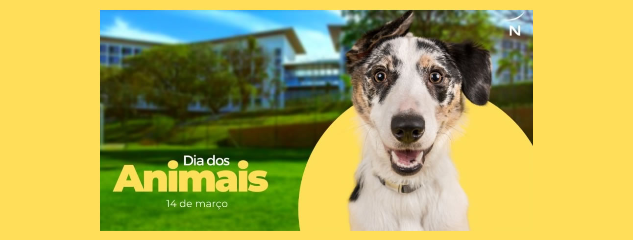 dia-dos-animais-14-03-2022